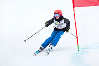 NGSL Red Mountain Jan 2020