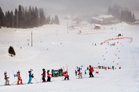 NGSL Red Mountain Jan 2014
